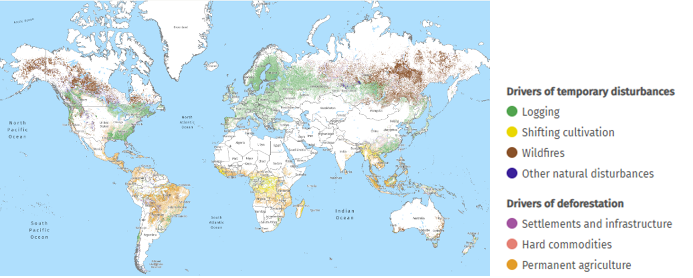 Deforestation world map